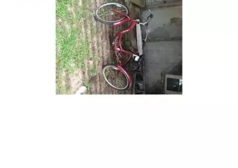 Adult TriCycle Bike