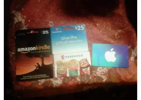 3 gift cards,25$ fandango, 25$ Amazon Kindle, 15$ Apple I tunes
